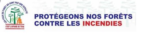 Protégeons les forêts contre les incendies