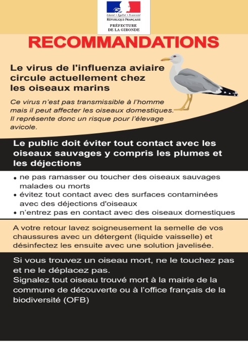 Message Préfecture – Mortalité d’oiseaux dans la faune sauvage