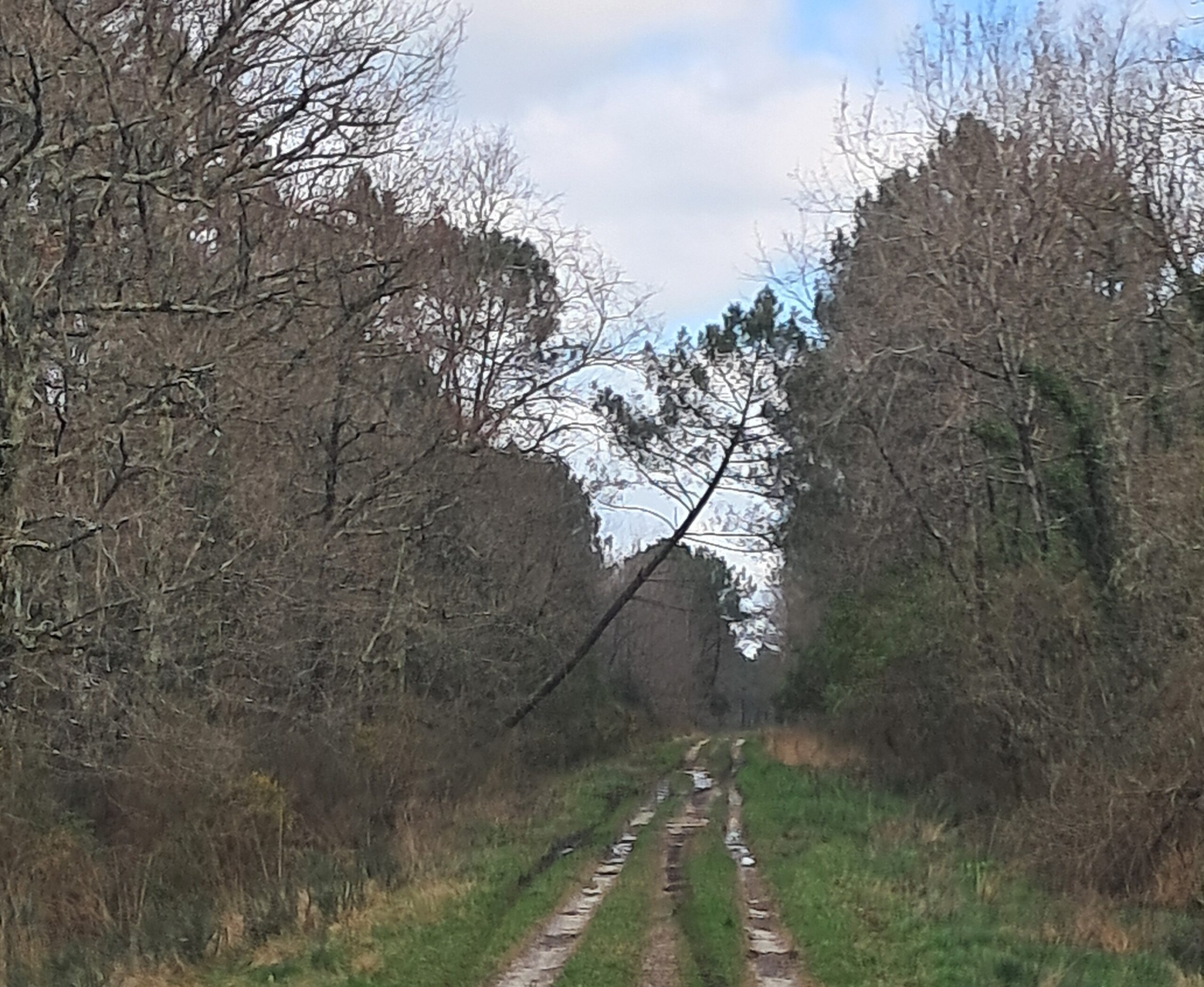 Arrêté Préfectoral – Interdiction de fréquentation des massifs forestiers