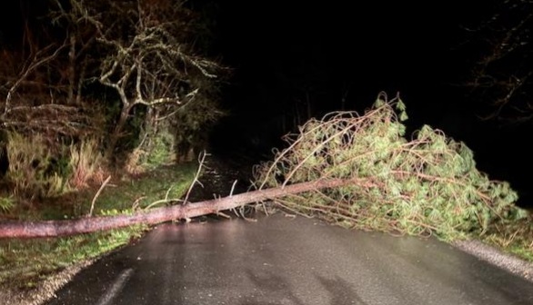 A la suite de la tempête survenue cette nuit, plusieurs quartiers de la commune connaissent actuellement des coupures d’électricité et des chutes d’arbres ont entraîné la mise à terre de lignes électriques.